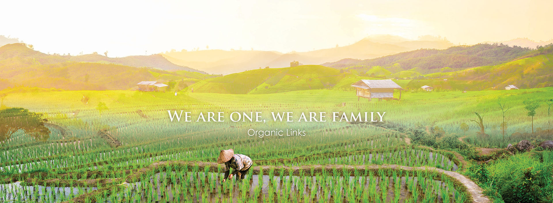 Organic Links