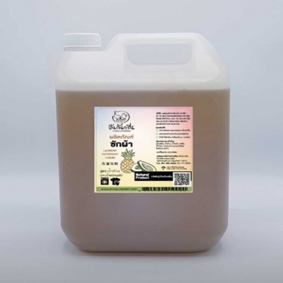 Organic Product > Pineapple Liquid Detergent